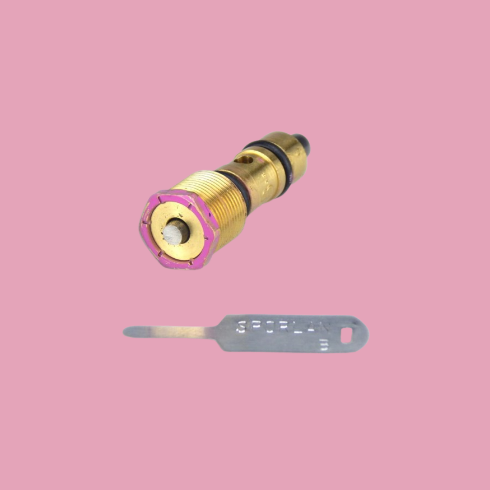 Sporlan Balans Portlu Değişebilir Orifisli Genleşme Valfi BCQ-B Pink Cartridge